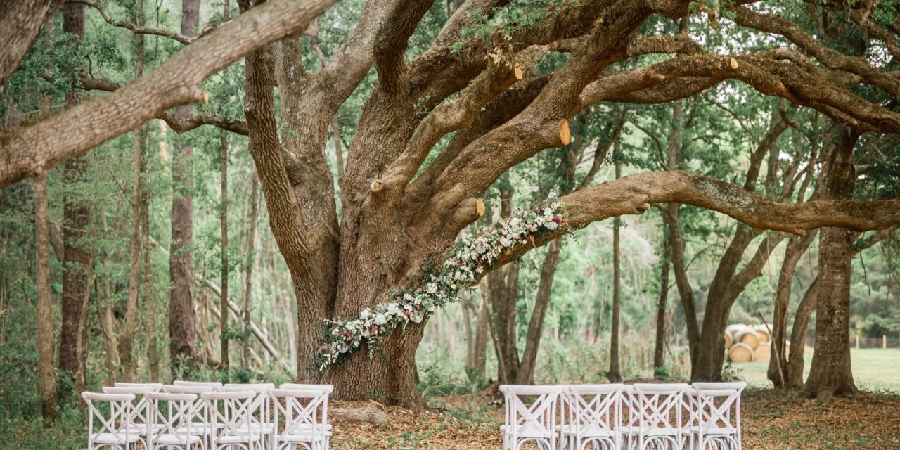Unique Wedding Venue Ideas You Haven’t Considered