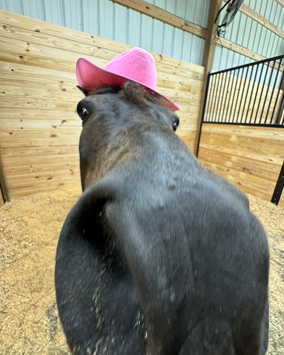 53CEEEF6-6401-4D51-B0D9-E6AAED7E418F 53CEEEF6-6401-4D51-B0D9-E6AAED7E418F