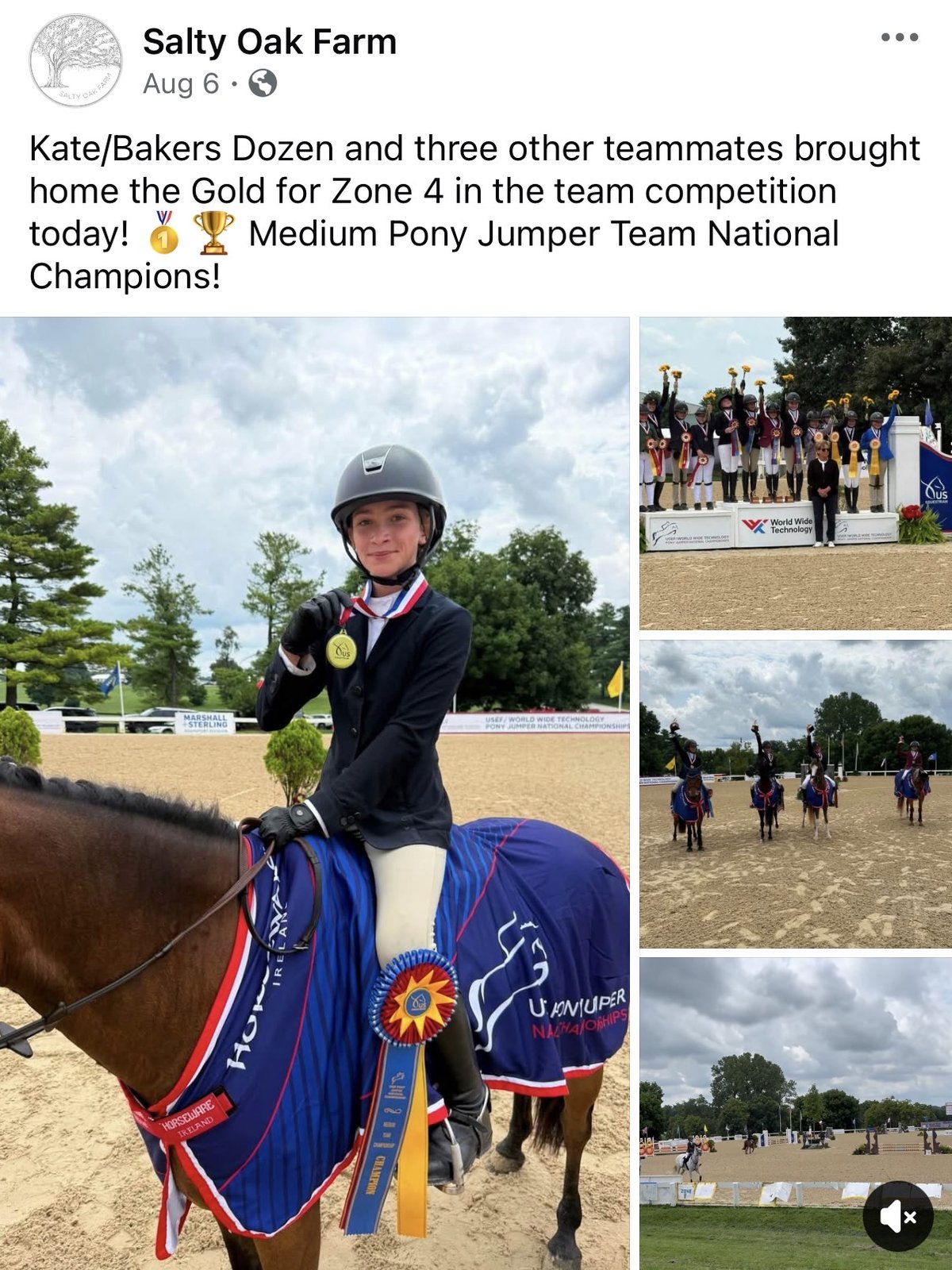Salty Oak Farm Facebook post — Aug 6 — Zone 4 Medium Pony Jumper Team Gold